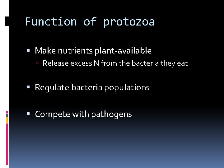 Function of protozoa Make nutrients plant-available Release excess N from the bacteria they eat