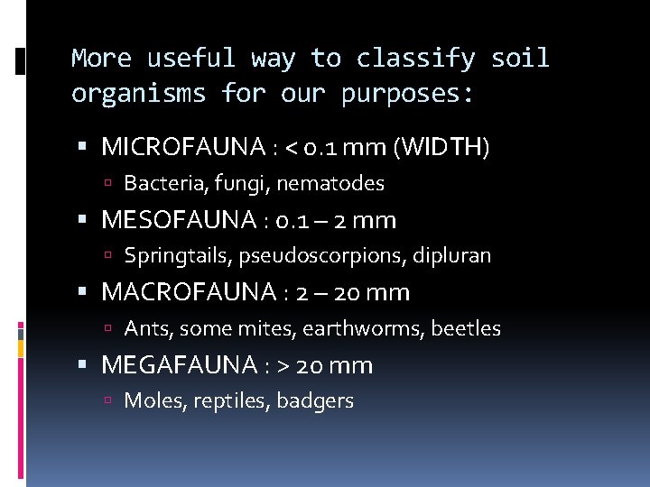 More useful way to classify soil organisms for our purposes: MICROFAUNA : < 0.