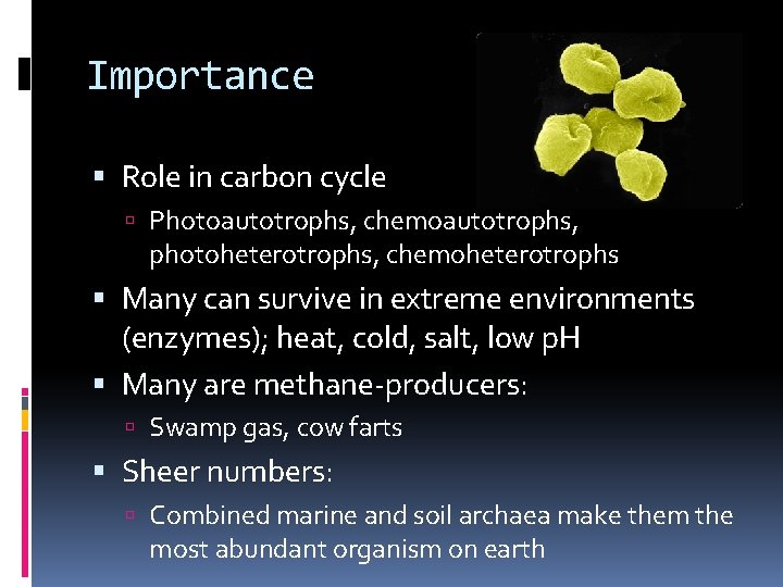 Importance Role in carbon cycle Photoautotrophs, chemoautotrophs, photoheterotrophs, chemoheterotrophs Many can survive in extreme