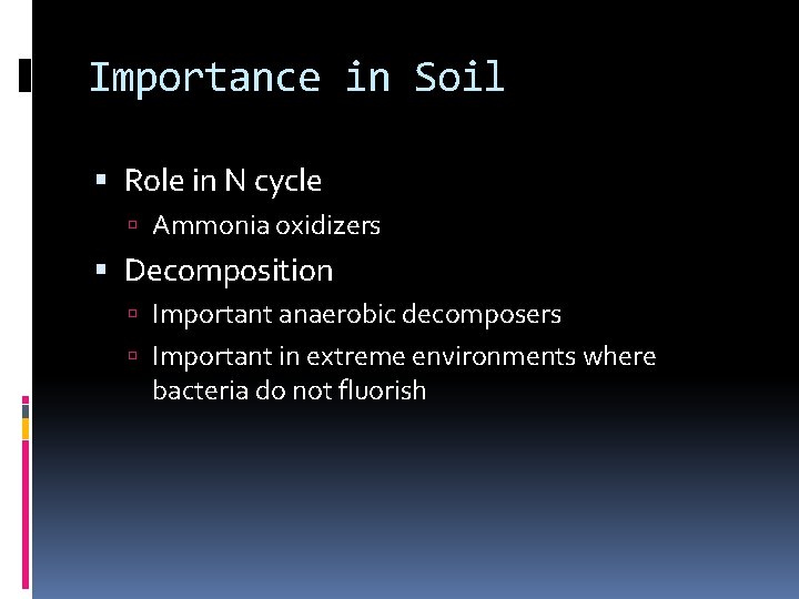 Importance in Soil Role in N cycle Ammonia oxidizers Decomposition Important anaerobic decomposers Important