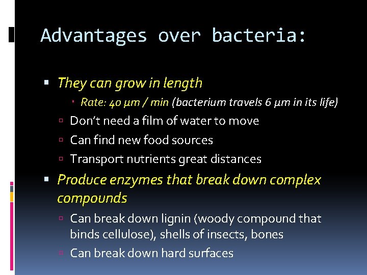 Advantages over bacteria: They can grow in length Rate: 40 μm / min (bacterium