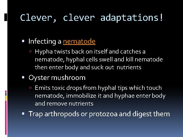 Clever, clever adaptations! Infecting a nematode Hypha twists back on itself and catches a