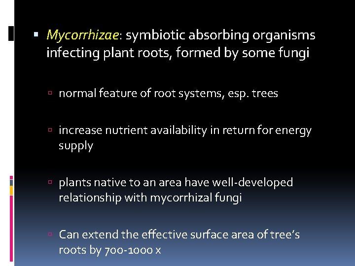  Mycorrhizae: symbiotic absorbing organisms infecting plant roots, formed by some fungi normal feature