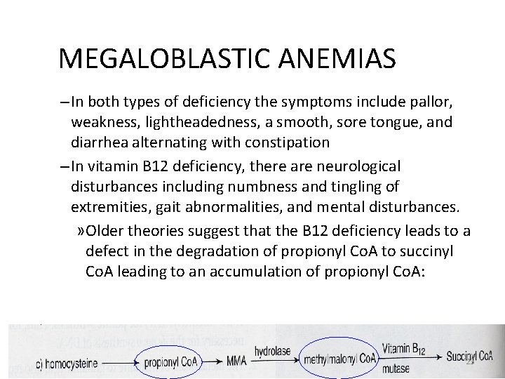 MEGALOBLASTIC ANEMIAS – In both types of deficiency the symptoms include pallor, weakness, lightheadedness,
