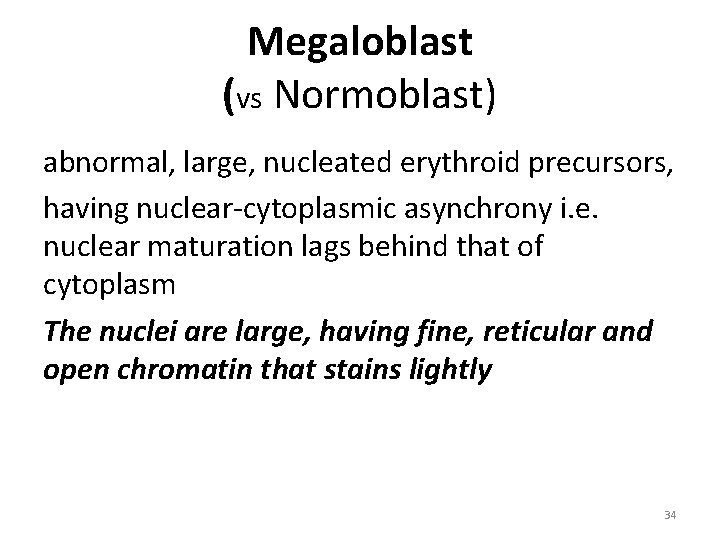 Megaloblast (vs Normoblast) abnormal, large, nucleated erythroid precursors, having nuclear-cytoplasmic asynchrony i. e. nuclear