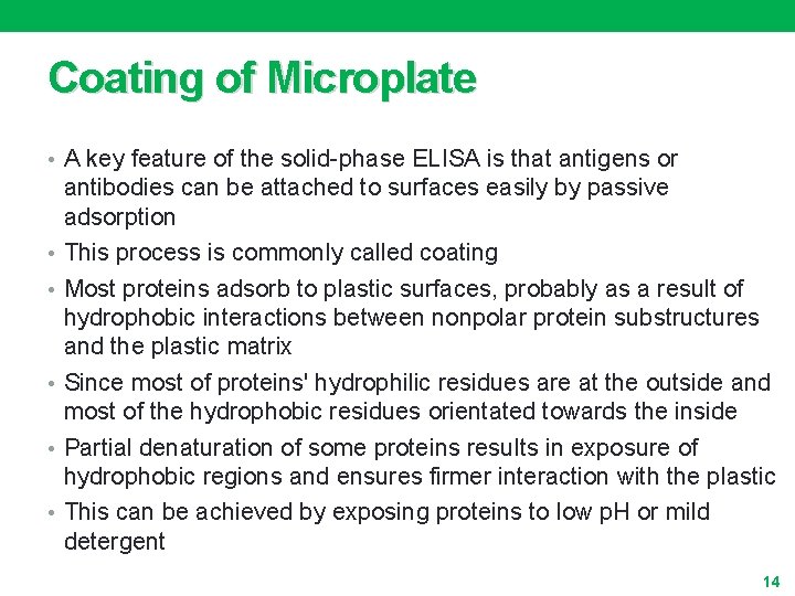 Coating of Microplate • A key feature of the solid-phase ELISA is that antigens