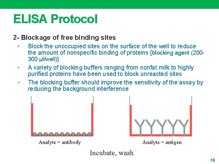 ELISA Protocol 2 - Blockage of free binding sites § Block the unoccupied sites