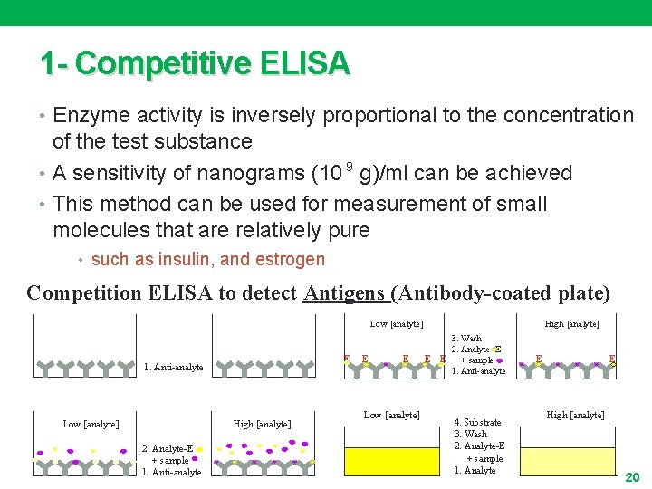 1 - Competitive ELISA • Enzyme activity is inversely proportional to the concentration of