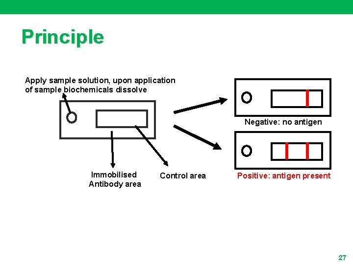 Principle Apply sample solution, upon application of sample biochemicals dissolve Negative: no antigen Immobilised