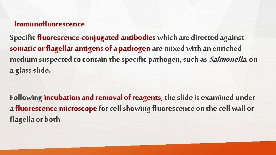 Immunofluorescence Specific fluorescence-conjugated antibodies which are directed against somatic or flagellar antigens of a