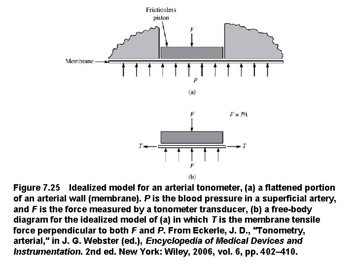 Figure 7. 25 Idealized model for an arterial tonometer, (a) a flattened portion of an