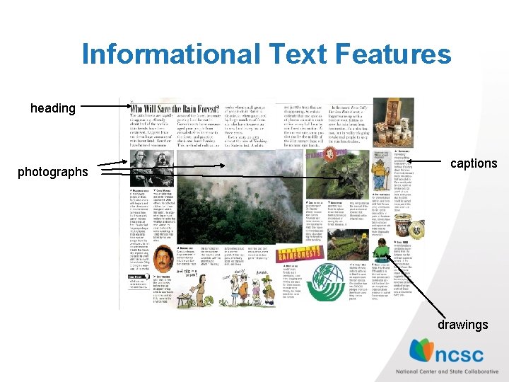 Informational Text Features heading photographs captions drawings Informational Text Features heading photographs captions drawings