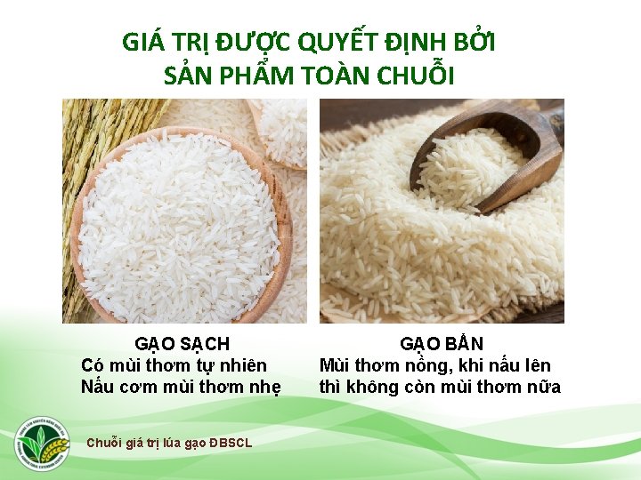 GIÁ TRỊ ĐƯỢC QUYẾT ĐỊNH BỞI SẢN PHẨM TOÀN CHUỖI GẠO SẠCH Có mùi