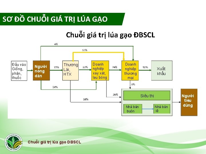 SƠ ĐỒ CHUỖI GIÁ TRỊ LÚA GẠO Chuỗi giá trị lúa gạo ĐBSCL Đầu
