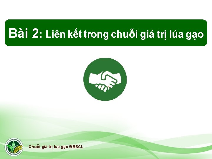 Bài 2: Liên kết trong chuỗi giá trị lúa gạo Chuỗi giá trị lúa