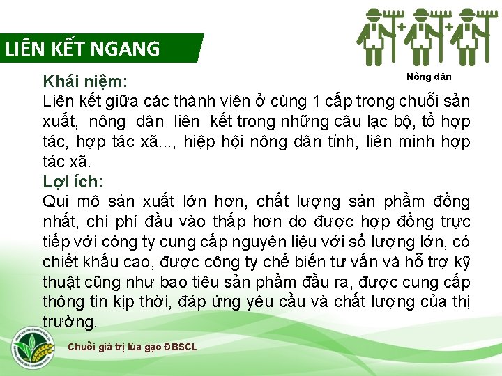 LIÊN KẾT NGANG Nông dân Khái niệm: Liên kết giữa các thành viên ở