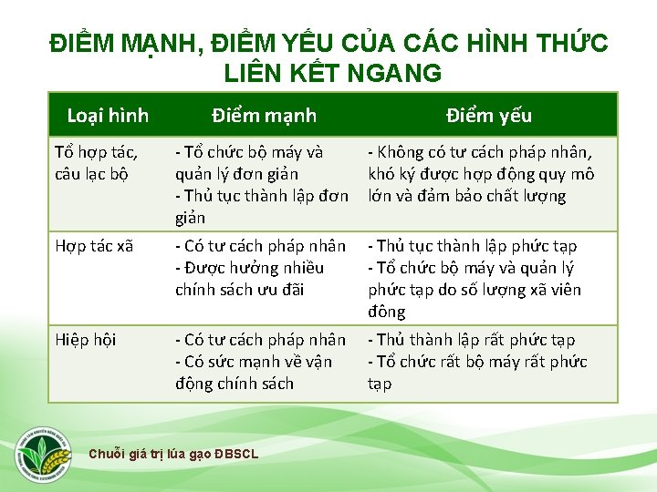 ĐIỂM MẠNH, ĐIỂM YẾU CỦA CÁC HÌNH THỨC LIÊN KẾT NGANG Loại hình Điểm