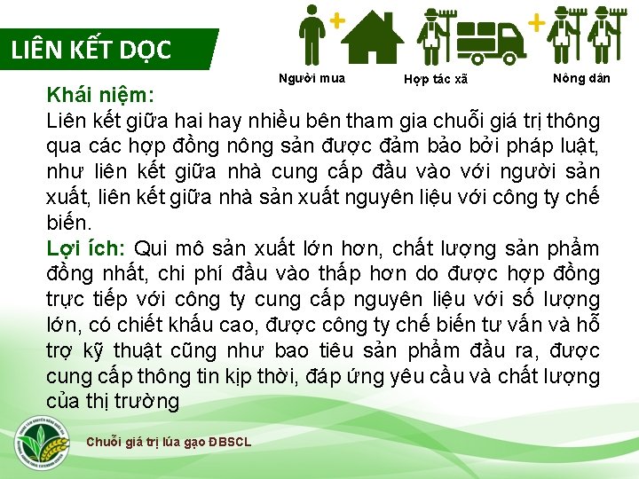 LIÊN KẾT DỌC Người mua Hợp tác xã Nông dân Khái niệm: Liên kết