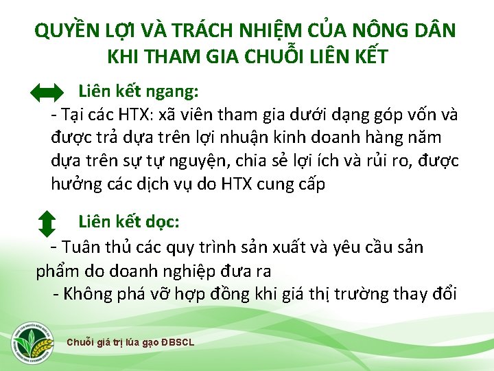 QUYỀN LỢI VÀ TRÁCH NHIỆM CỦA NÔNG D N KHI THAM GIA CHUỖI LIÊN