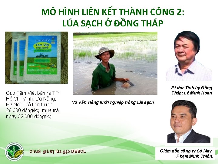 MÔ HÌNH LIÊN KẾT THÀNH CÔNG 2: LÚA SẠCH Ở ĐỒNG THÁP Gạo Tâm