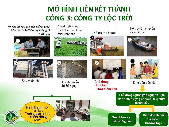 MÔ HÌNH LIÊN KẾT THÀNH CÔNG 3: CÔNG TY LỘC TRỜI Ký hợp đồng