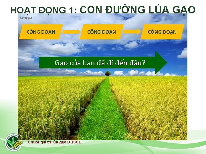 HOẠT ĐỘNG 1: CON ĐƯỜNG LÚA GẠO CÔNG ĐOẠN Gạo của bạn đã đi