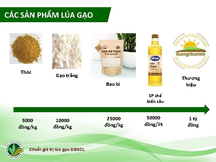 CÁC SẢN PHẨM LÚA GẠO Thóc Gạo trắng Thương hiệu Bao bì SP chế