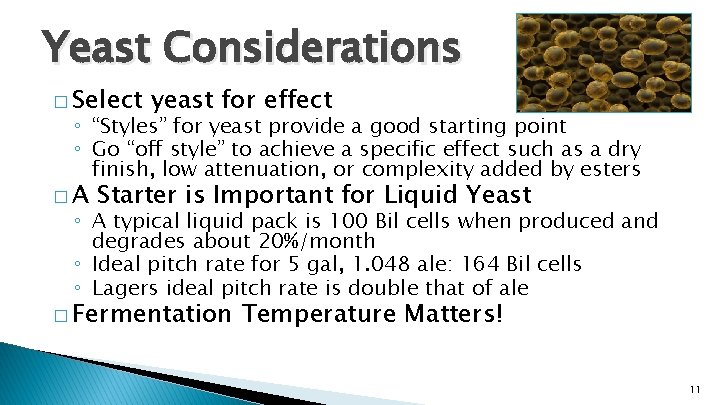 Yeast Considerations � Select yeast for effect ◦ “Styles” for yeast provide a good