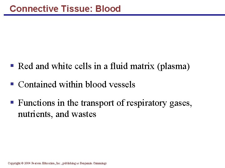 Connective Tissue: Blood § Red and white cells in a fluid matrix (plasma) §