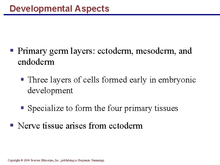 Developmental Aspects § Primary germ layers: ectoderm, mesoderm, and endoderm § Three layers of