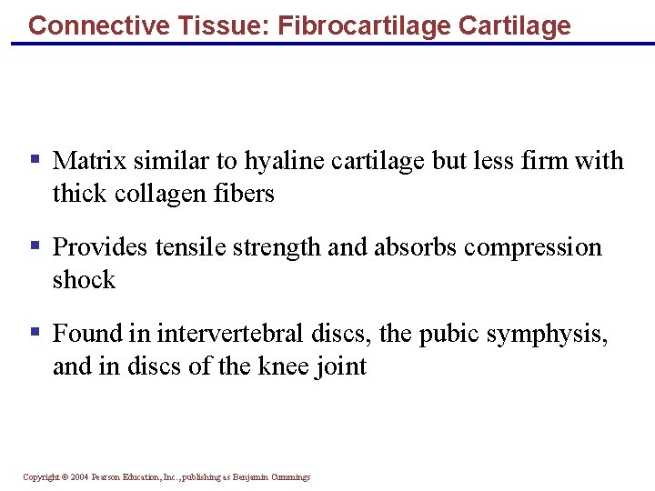 Connective Tissue: Fibrocartilage Cartilage § Matrix similar to hyaline cartilage but less firm with