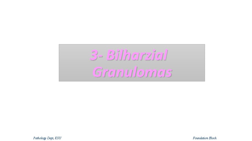 3 - Bilharzial Granulomas Pathology Dept, KSU Foundation Block 3 - Bilharzial Granulomas Pathology Dept, KSU Foundation Block