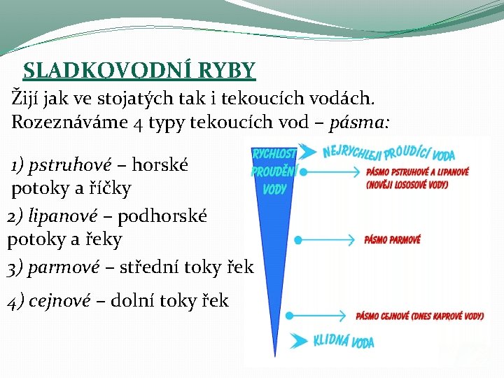 SLADKOVODNÍ RYBY Žijí jak ve stojatých tak i tekoucích vodách. Rozeznáváme 4 typy tekoucích