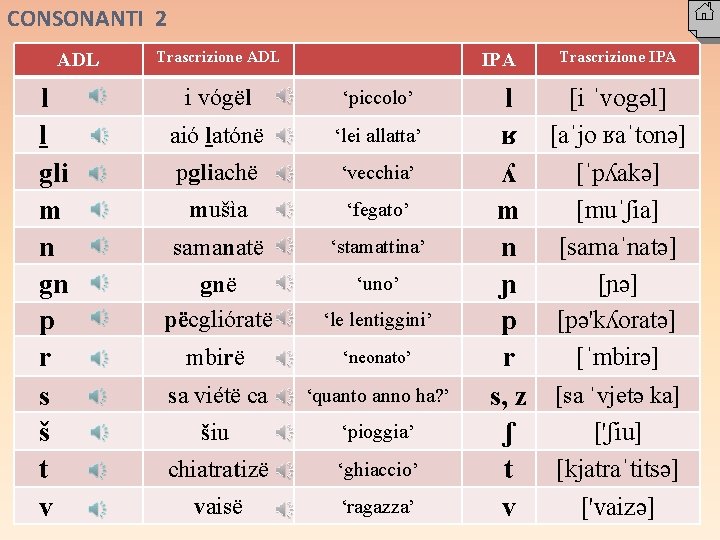 CONSONANTI 2 ADL l ḻ gli m n gn p r s š t