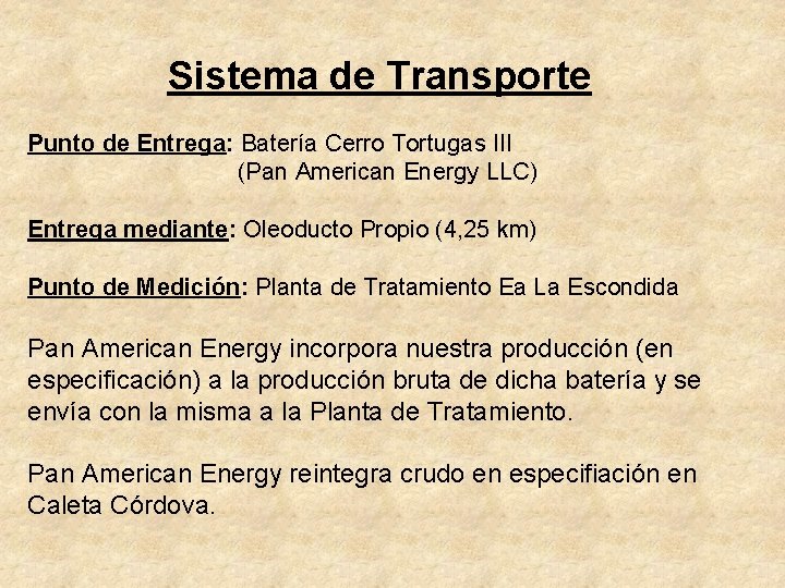 Sistema de Transporte Punto de Entrega: Batería Cerro Tortugas III (Pan American Energy LLC)