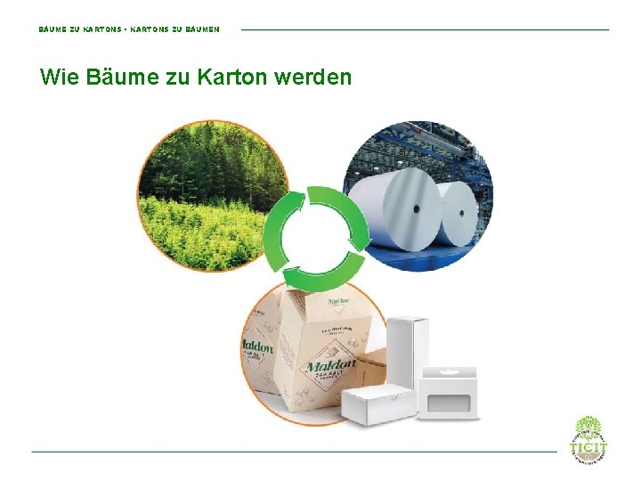 BÄUME ZU KARTONS • KARTONS ZU BÄUMEN Wie Bäume zu Karton werden 