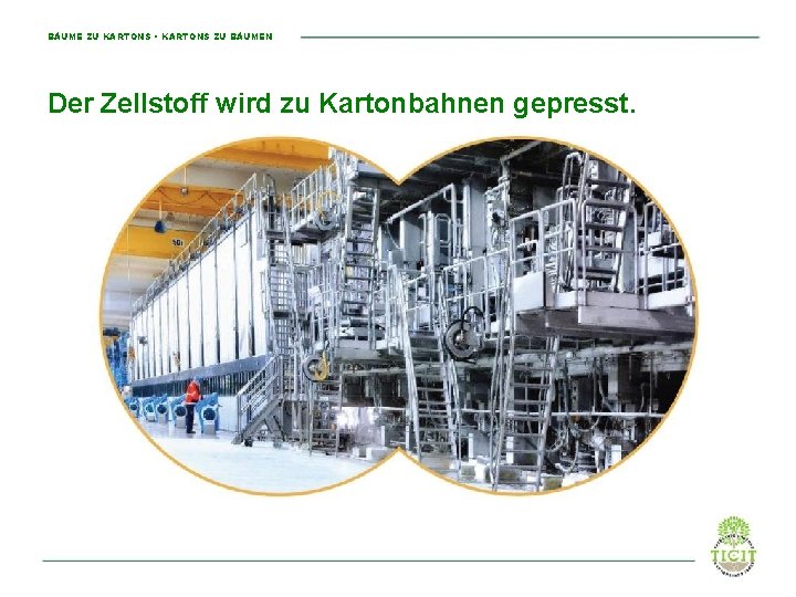 BÄUME ZU KARTONS • KARTONS ZU BÄUMEN Der Zellstoff wird zu Kartonbahnen gepresst. 
