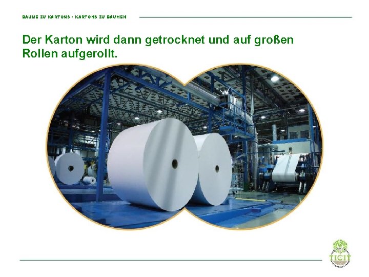 BÄUME ZU KARTONS • KARTONS ZU BÄUMEN Der Karton wird dann getrocknet und auf