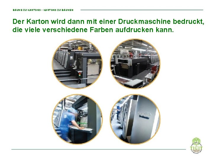BÄUME ZU KARTONS • KARTONS ZU BÄUMEN Der Karton wird dann mit einer Druckmaschine