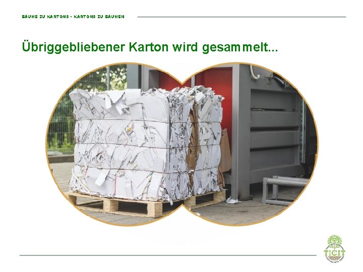 BÄUME ZU KARTONS • KARTONS ZU BÄUMEN Übriggebliebener Karton wird gesammelt. . . 