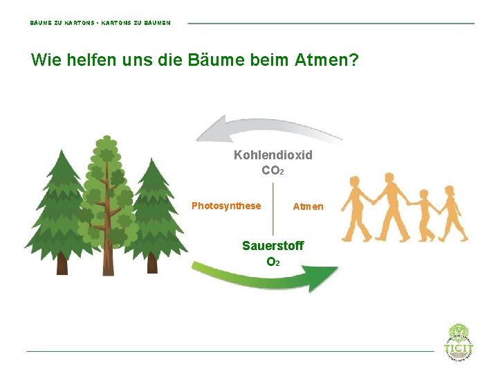BÄUME ZU KARTONS • KARTONS ZU BÄUMEN Wie helfen uns die Bäume beim Atmen?