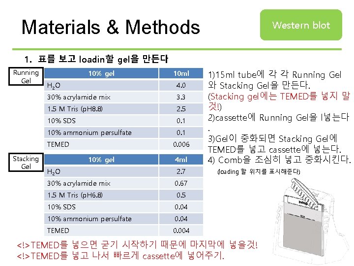 Materials & Methods Western blot 1. 표를 보고 loadin할 gel을 만든다 Running Gel 10%