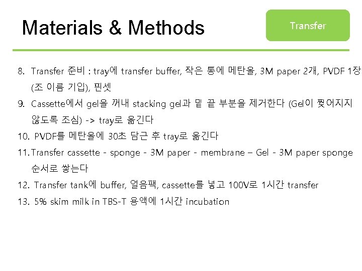 Materials & Methods Transfer 8. Transfer 준비 : tray에 transfer buffer, 작은 통에 메탄올,