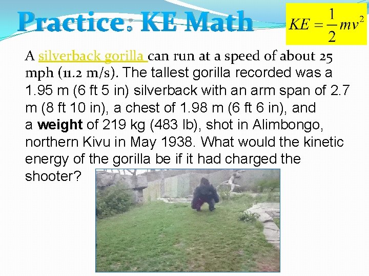 Practice: KE Math A silverback gorilla can run at a speed of about 25 Practice: KE Math A silverback gorilla can run at a speed of about 25