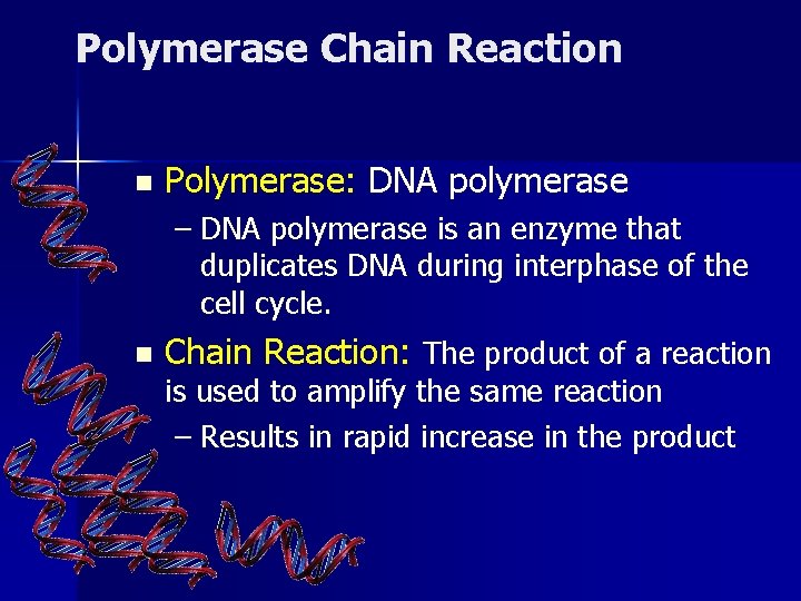 Polymerase Chain Reaction n Polymerase: DNA polymerase – DNA polymerase is an enzyme that