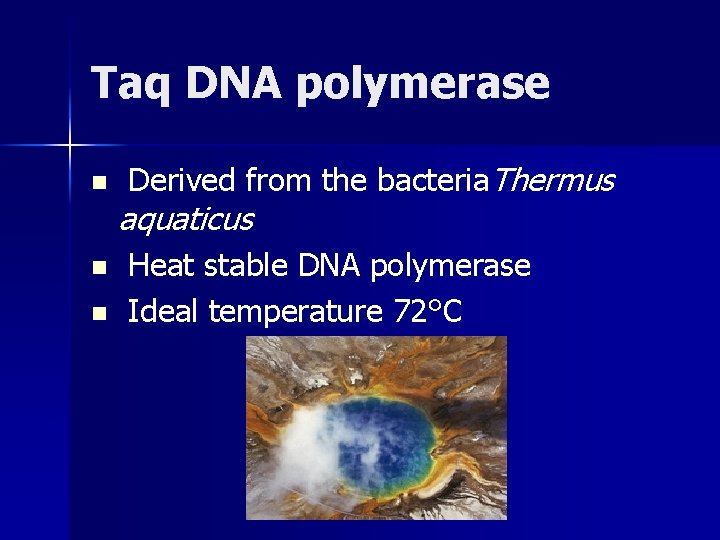 Taq DNA polymerase n n n Derived from the bacteria. Thermus aquaticus Heat stable