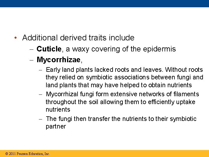  • Additional derived traits include Cuticle, a waxy covering of the epidermis Mycorrhizae,