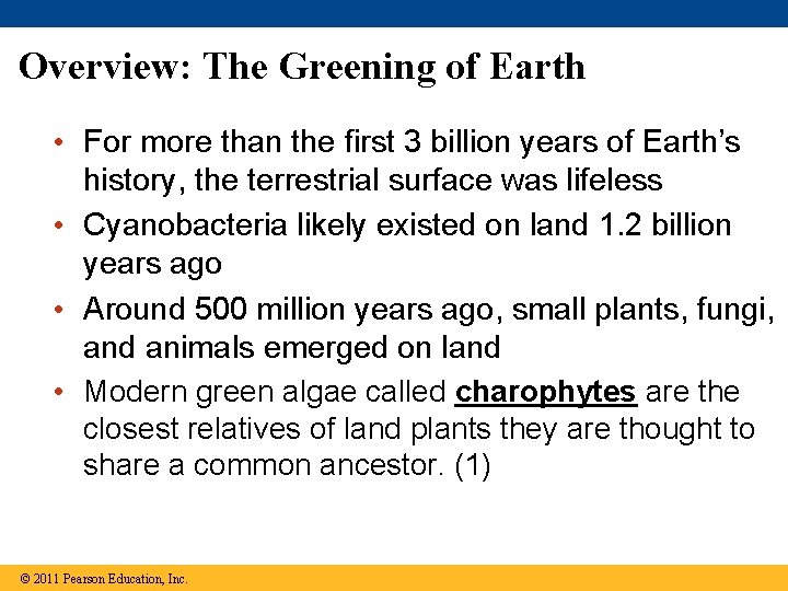 Overview: The Greening of Earth • For more than the first 3 billion years