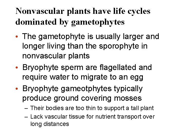 Nonvascular plants have life cycles dominated by gametophytes • The gametophyte is usually larger
