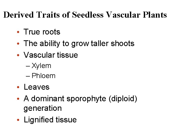 Derived Traits of Seedless Vascular Plants • True roots • The ability to grow